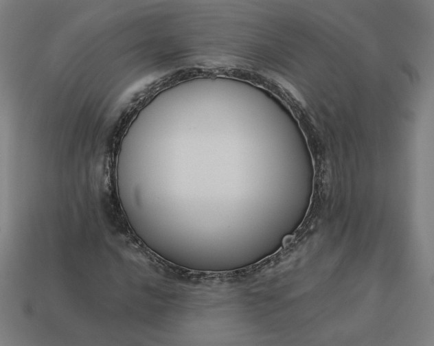 X0000113371016200910061056