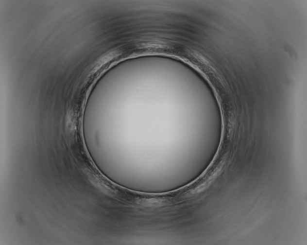 X0000113371017200910061056