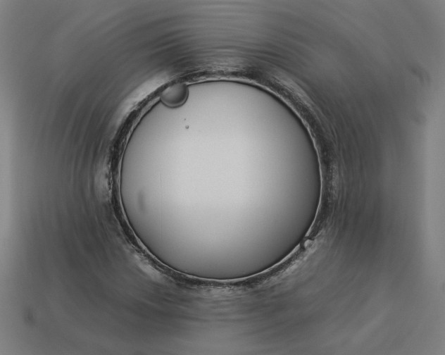 X0000113371018200910061056