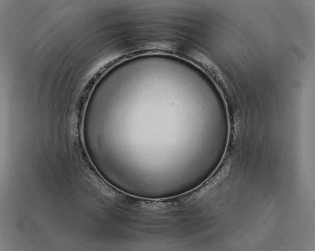 X0000113371019200910061056