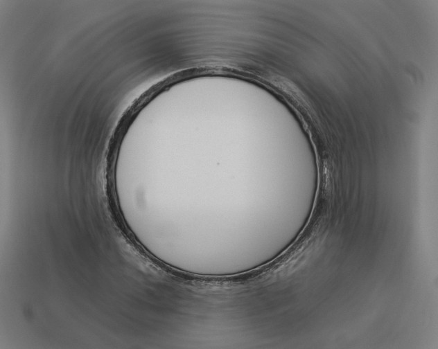 X0000113371020200910061056