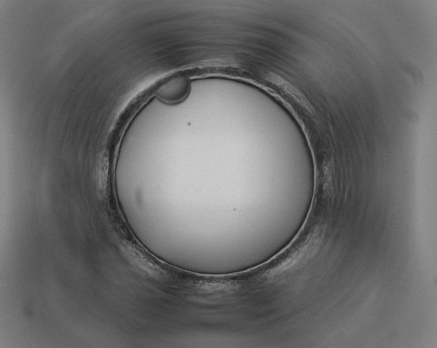 X0000113371021200910061056