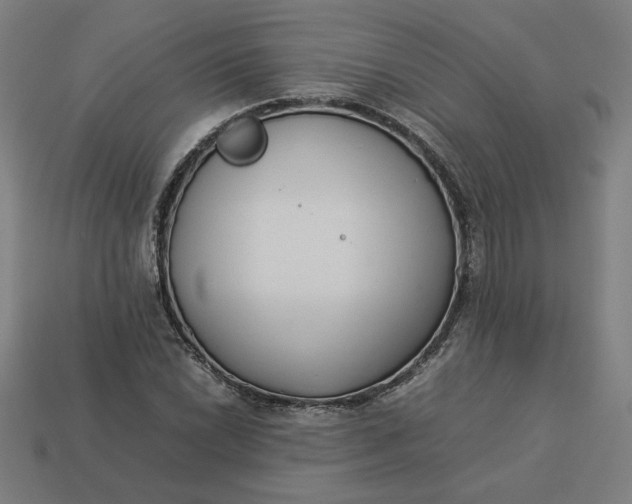 X0000113371022200910061056