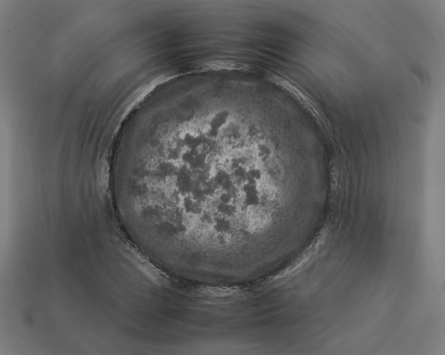 X0000113371023200910061056