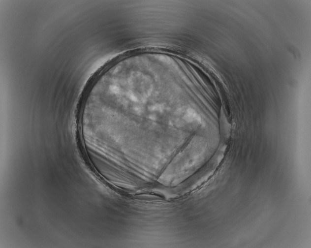 X0000113371024200910061056