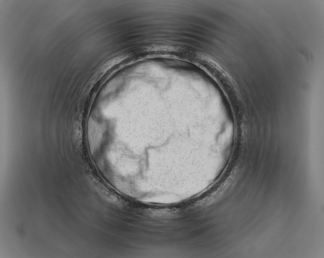 X0000113371025200910061056