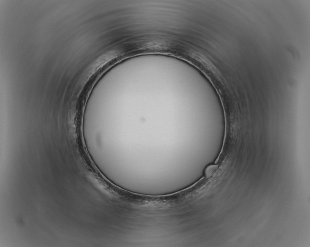 X0000113371026200910061056