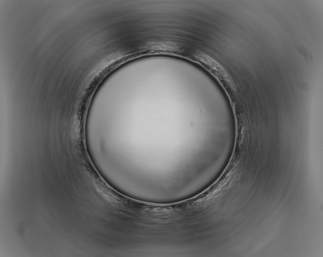 X0000113371027200910061056