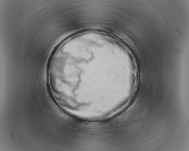 X0000113371028200910061056