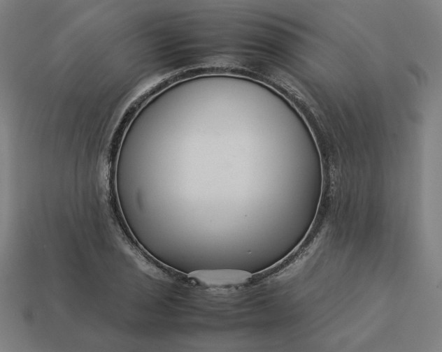 X0000113371029200910061056