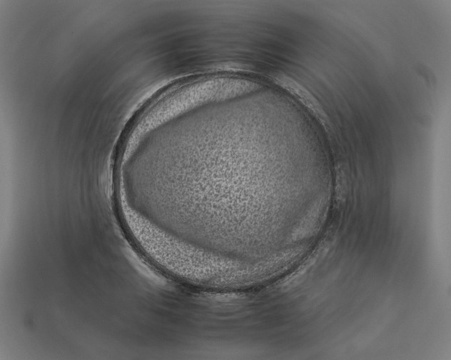 X0000113371031200910061056