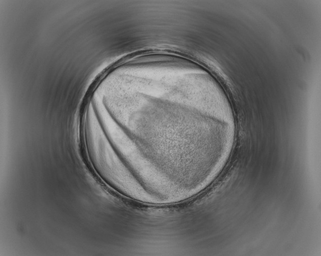 X0000113371032200910061056