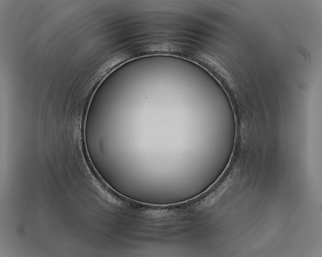 X0000113371033200910061056