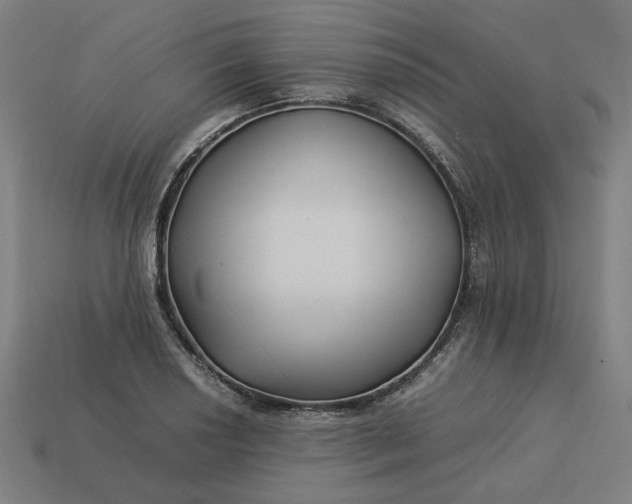 X0000113371034200910061056