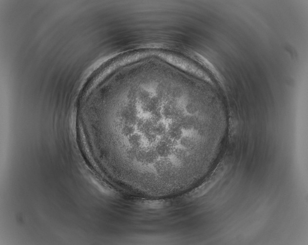 X0000113371035200910061056