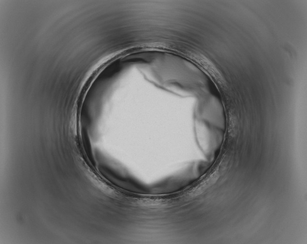 X0000113371036200910061056