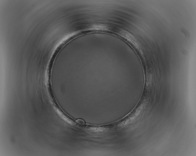 X0000113371037200910061056