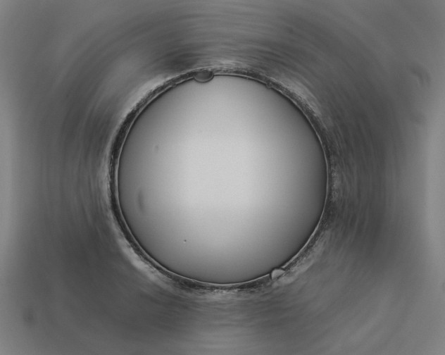 X0000113371038200910061056