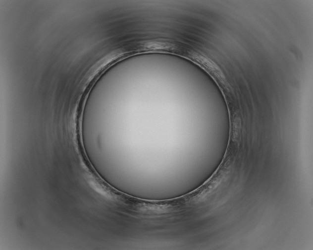 X0000113371039200910061056