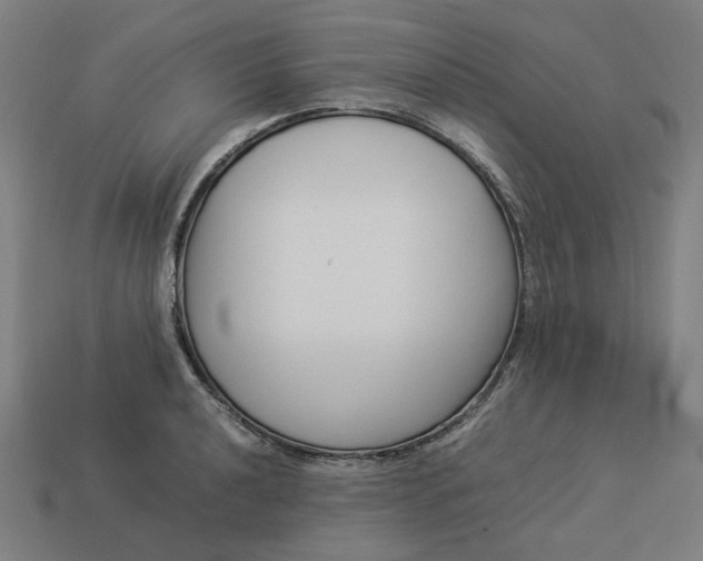 X0000113371040200910061056