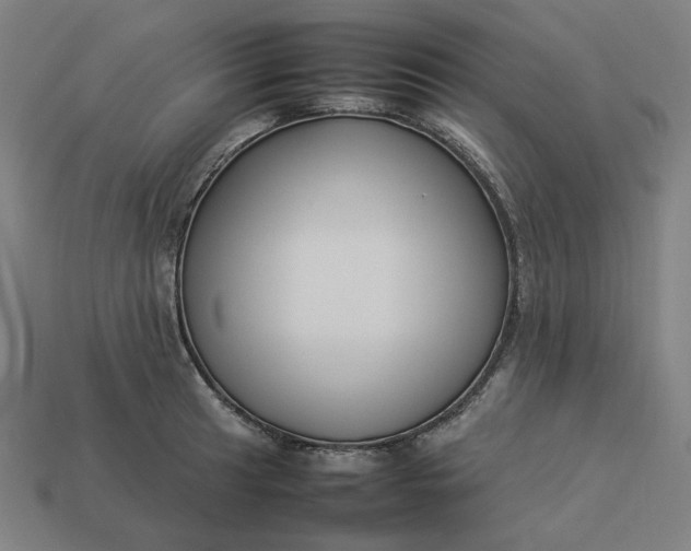 X0000113371041200910061056