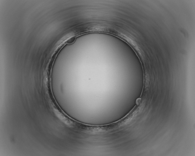 X0000113371042200910061056