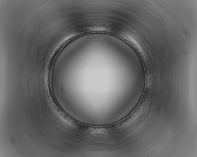 X0000113371043200910061056