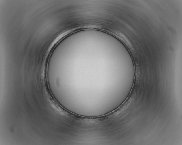 X0000113371044200910061056