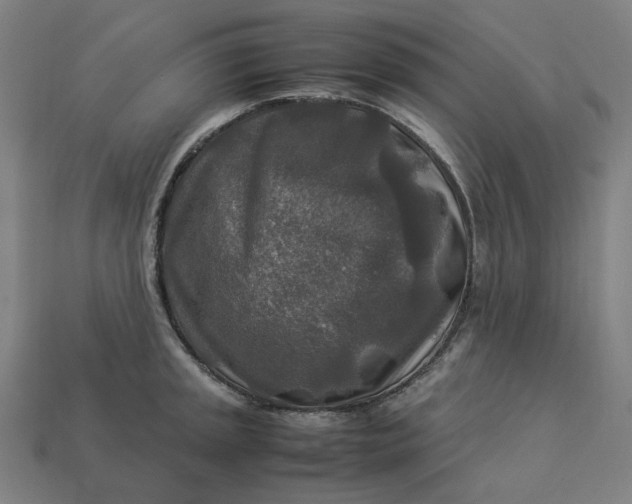 X0000113371045200910061056