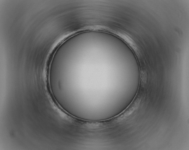 X0000113371046200910061056