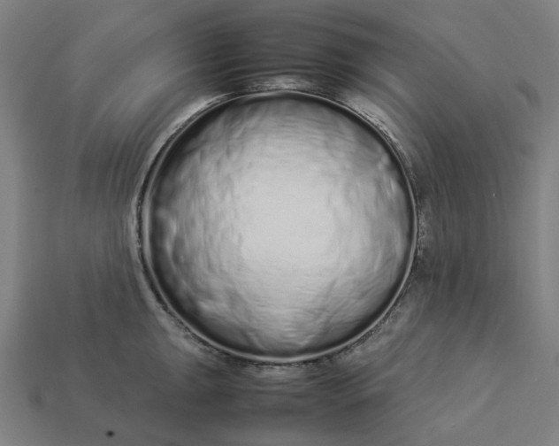 X0000113371047200910061056