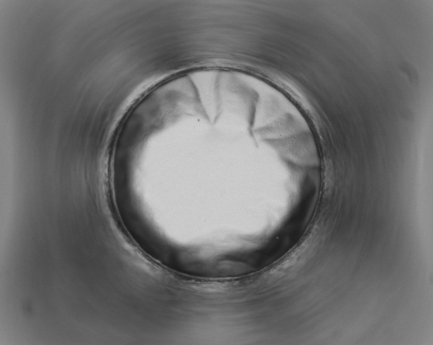 X0000113371048200910061056