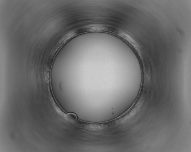 X0000113371049200910061056