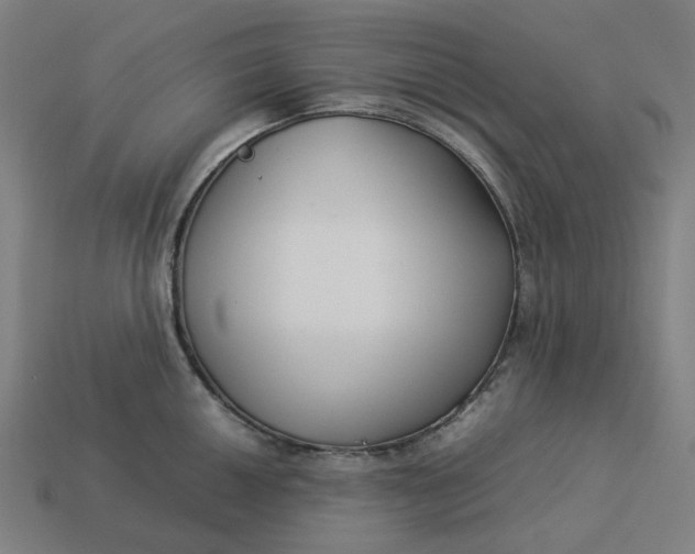 X0000113371050200910061056