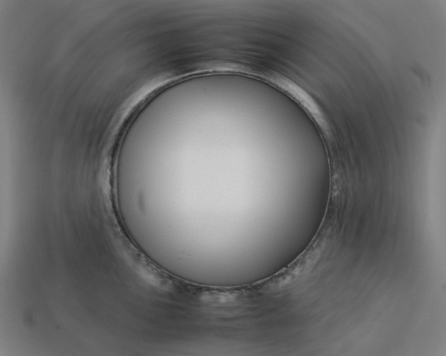 X0000113371051200910061056