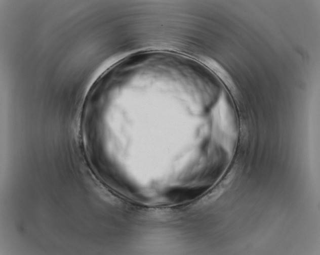 X0000113371052200910061056