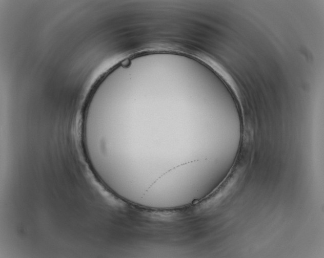 X0000113371053200910061056