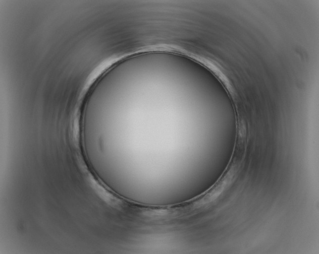 X0000113371054200910061056