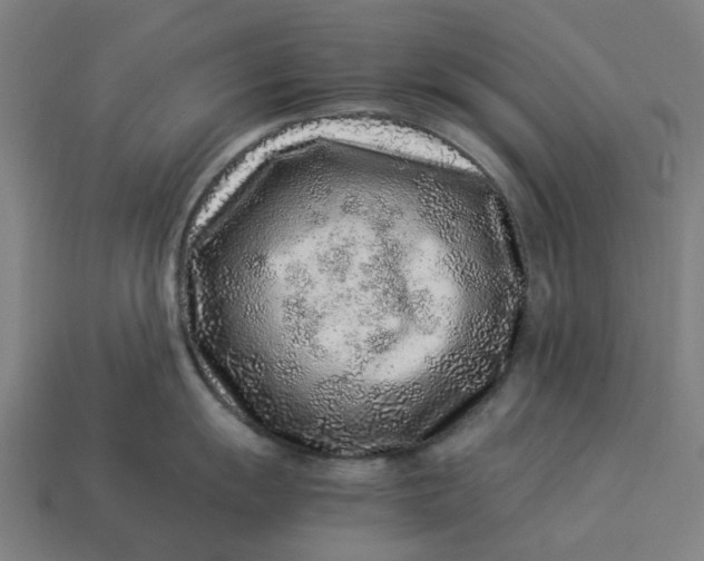 X0000113371055200910061056