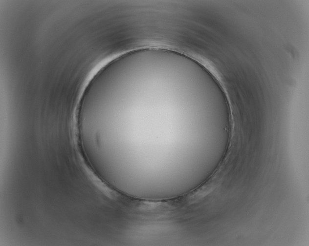 X0000113371056200910061056