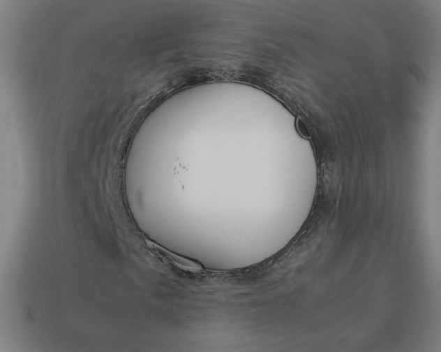 X0000113371057200910061056