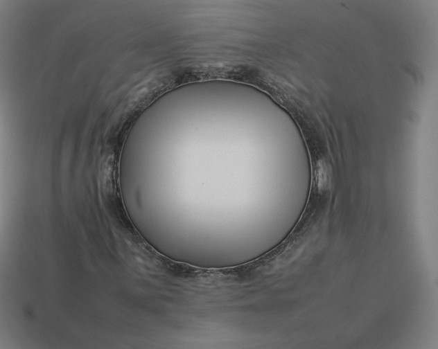 X0000113371059200910061056