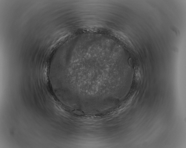 X0000113371060200910061056