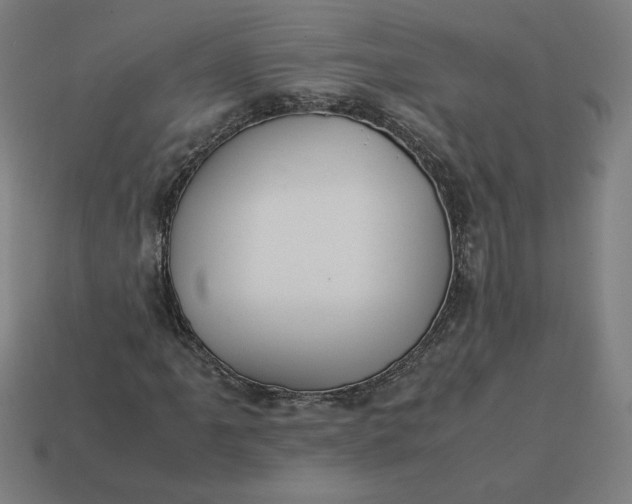 X0000113371061200910061056