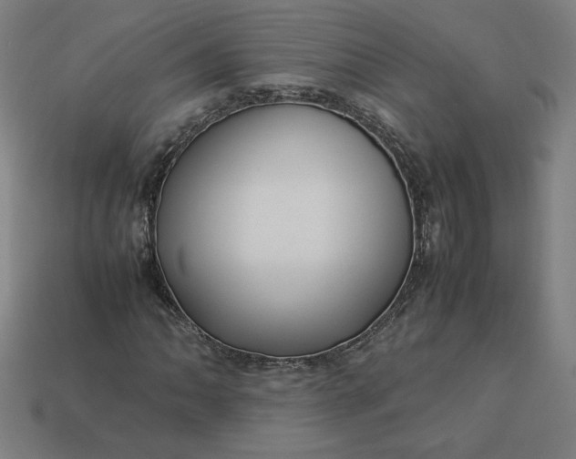 X0000113371062200910061056