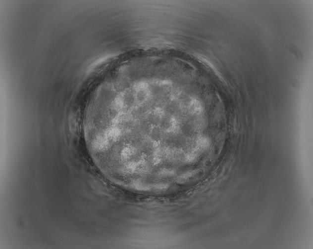 X0000113371063200910061055