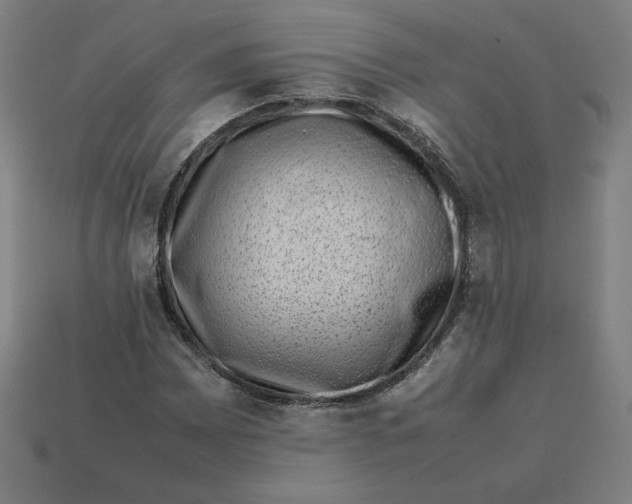 X0000113371065200910061055