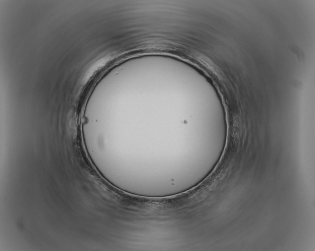 X0000113371067200910061055