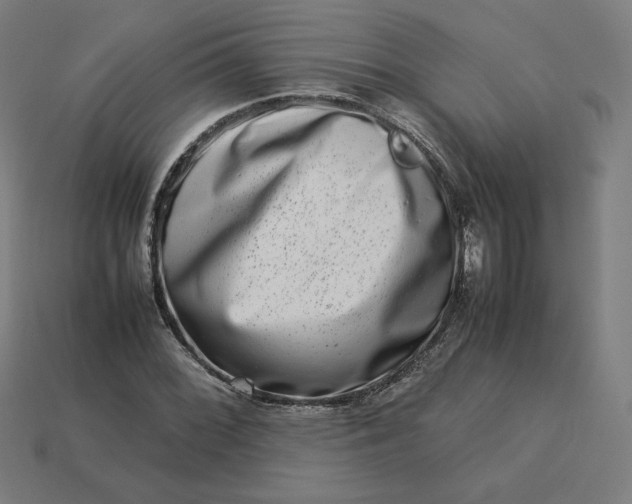 X0000113371068200910061055