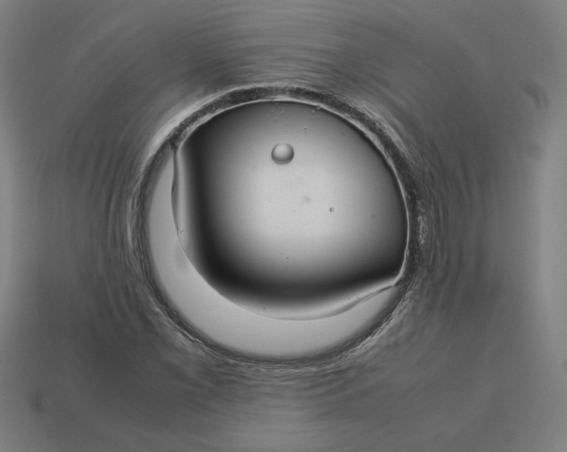 X0000113371069200910061055